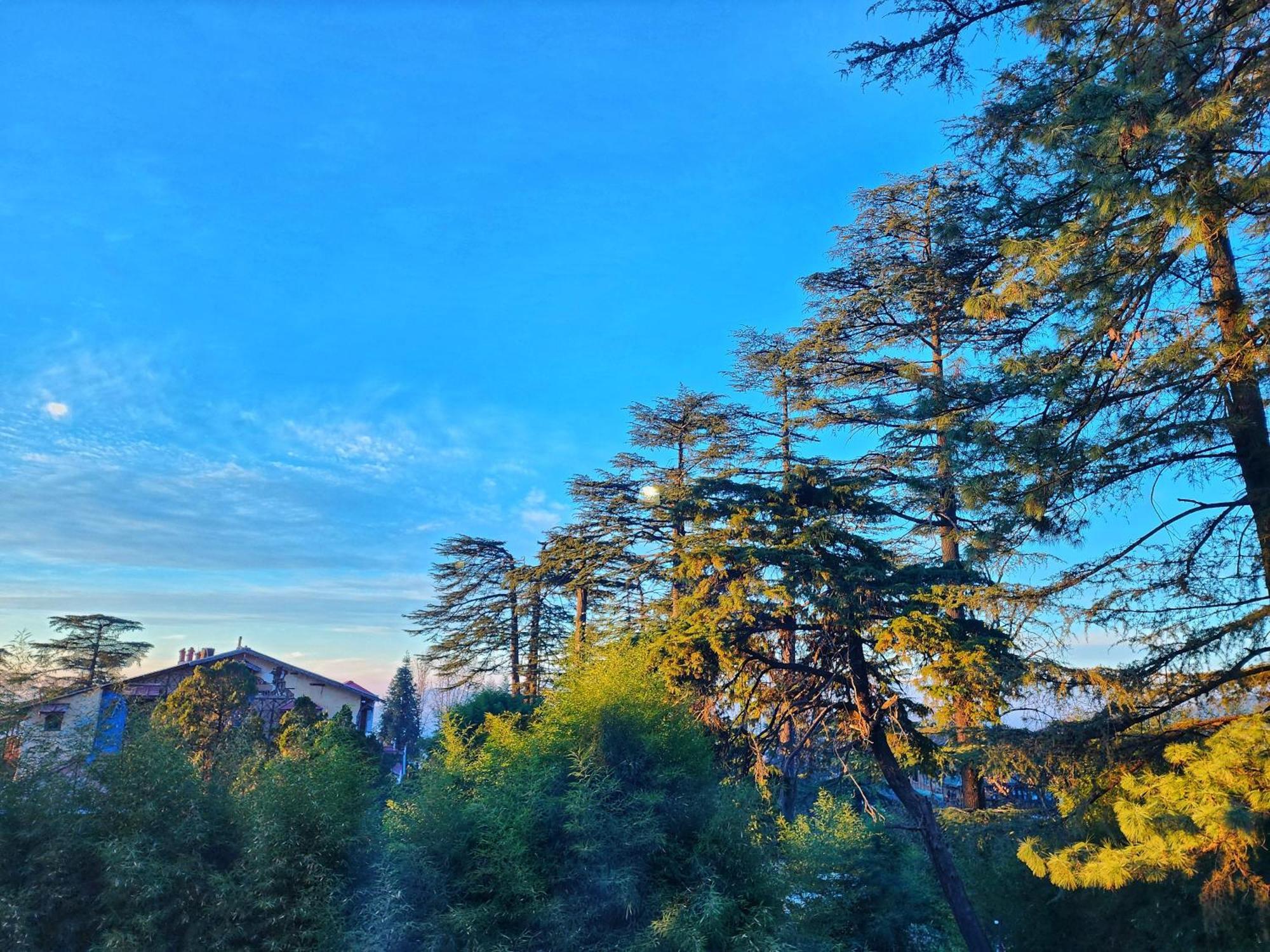 Hotel Pineview Shimla Exterior photo