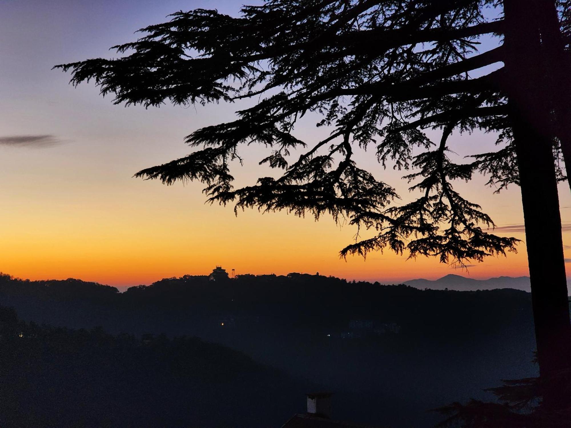 Hotel Pineview Shimla Exterior photo